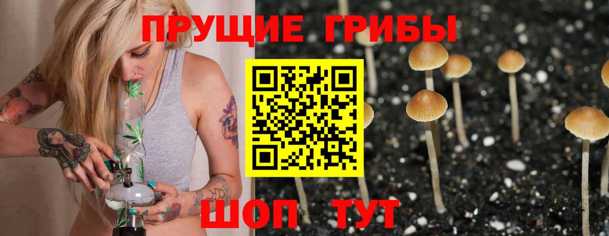 Буйнакск  Галлюциногенные грибы Psilocybe  Вход с VPN 